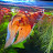 @Mjfamilyaquatics Avatar