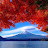 @RSTEINER57 Avatar