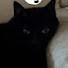 tvKRGXClUKc-channel-avatar-mrbaconkitty