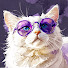 -ky63ZUbyDs-channel-avatar-7CatBag and 6CatBag