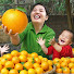 AKeod4zMqaU-channel-avatar-Dương Harvesting
