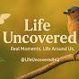 Life Uncovered  logo