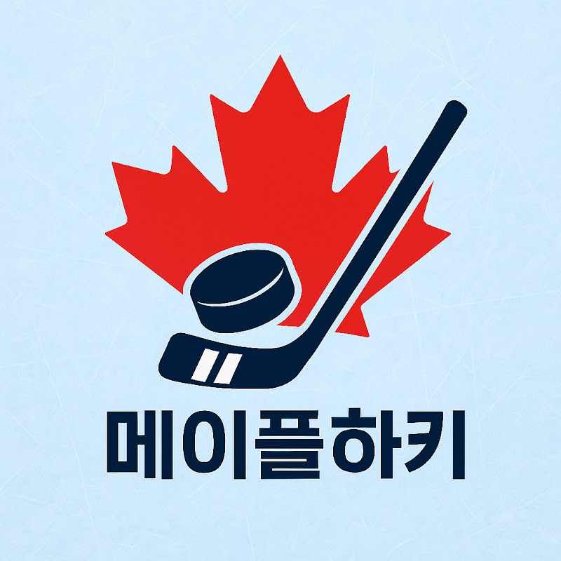 메이플하키