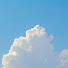 c9qyk716DAU-channel-avatar-ama