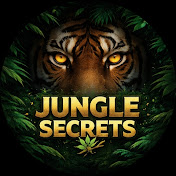 Jungle Secrets