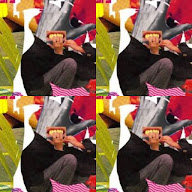 thumbnail img1x1