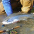 SFTRbO8fUeQ-channel-avatar-Manresa Rods
