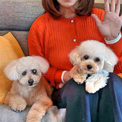 miwa / 50代の暮らしアイコン画像