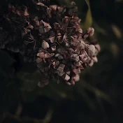 葉澤ヒロユキ