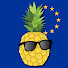 kHA04fYyrEU-channel-avatar-Pineapple Mart EU