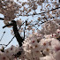 ei_Mp3ZqtIY-channel-avatar-motor ch