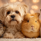 Animals Psychology