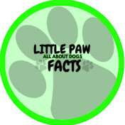 Little Paw Facts