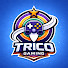 pPyzsRhf7Jw-channel-avatar-Trico Gaming