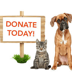Save animals