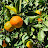 @EntisarHamad-u8r