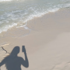 𝗦𝘄𝗲𝗲𝘁 𝗕𝗲𝗹𝗹𝗮 𝗡𝗶𝗰𝗲 シ︎ 