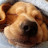 @Spencer19165 Avatar
