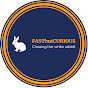 Fast But Curious! logo