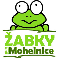 Žabky DDM Mohelnice