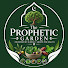 sVZOXvq2WrE-channel-avatar-The Prophetic Garden