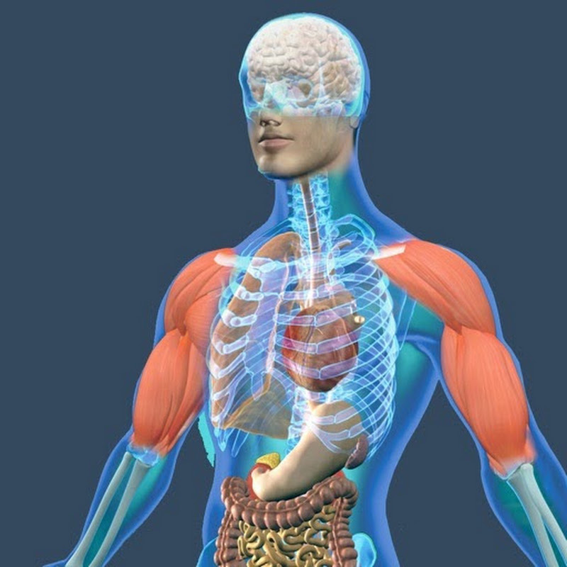 MedCademy