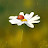@초록향기-x8z