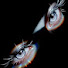 G8Oe2EwiKCo-channel-avatar-Arquivos do Distrito 12