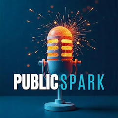 Public Spark - Making Sense of Digital Government