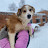 Adopt a dog from shelter in Tula, Russia