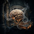 CkTzf-NvRUc-channel-avatar-Pragmatic Protocol and Mindshift Psychology