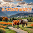9whrDQWQa38-channel-avatar-El pochote news