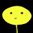 HasoRule