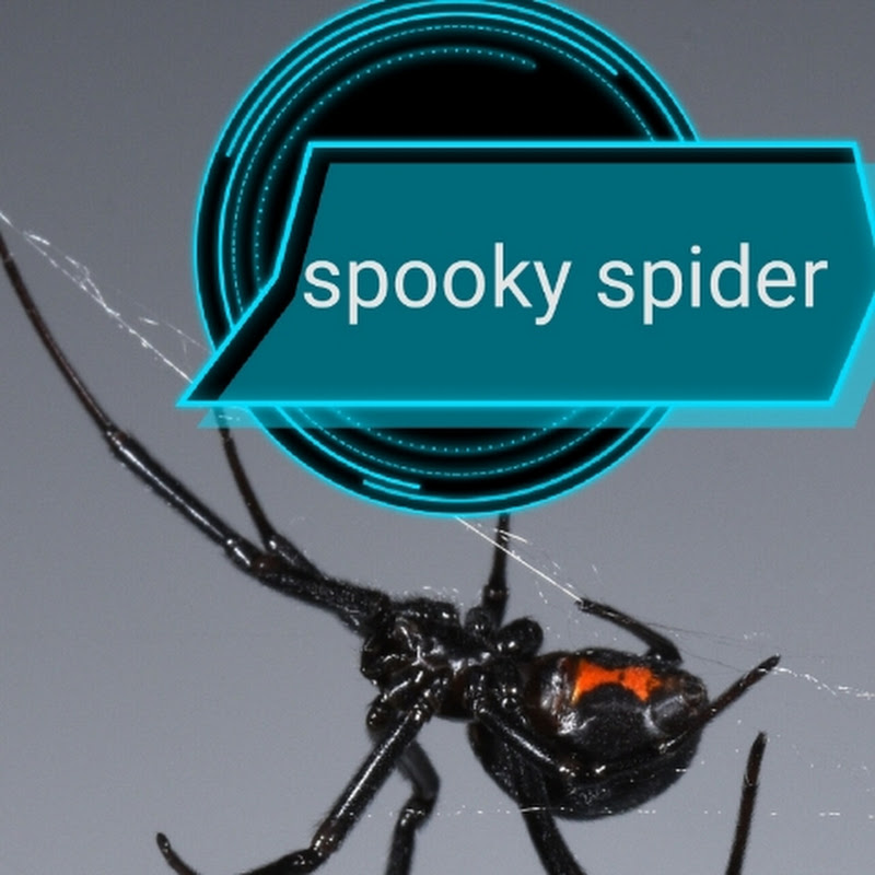spooky spider