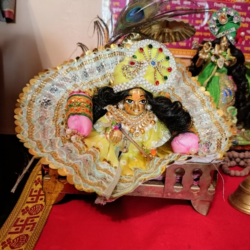 Nishika  Rajput