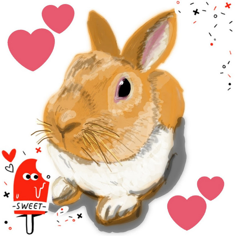 サスケ先輩 【うさぎ生活の日常】