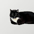 hWcv4b8h2fI-channel-avatar-Bay Window