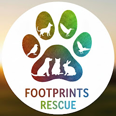 Footprints Rescue