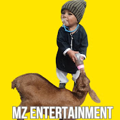 MZ Entertainment 