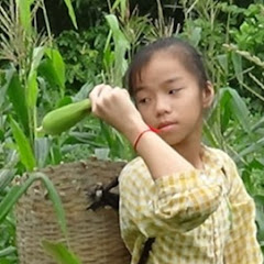 Bàn Thị Ly Avatar