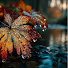 ej_-cT_RCkU-channel-avatar-Fall Rain Retreat