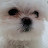 @오산시도친