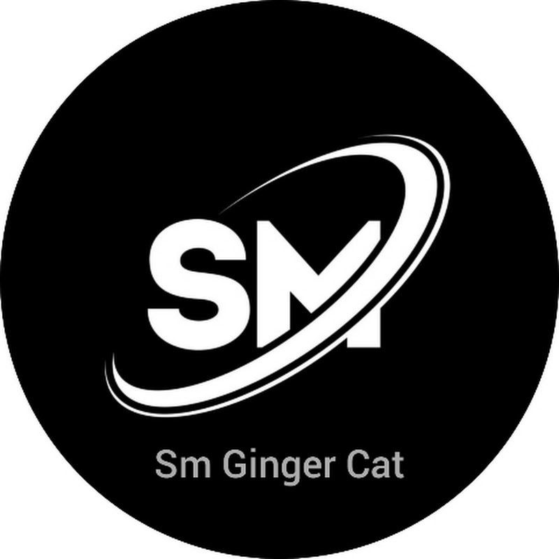 Sm Ginger Fun