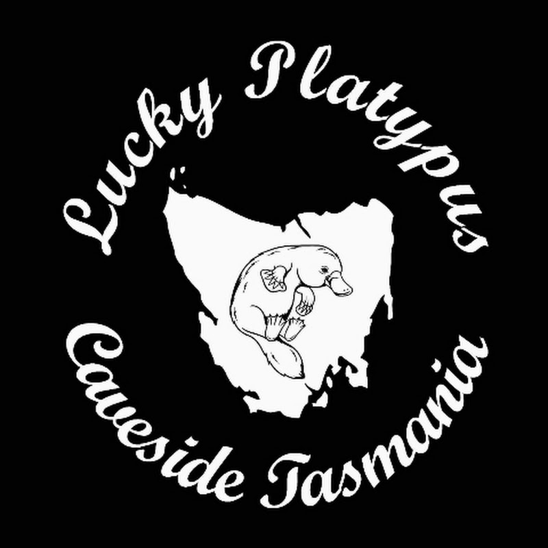 Lucky Platypus Crochet 