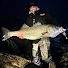 Wli5vX6Jx-Y-channel-avatar-Big Hapa Fishing