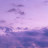 @purple-n5o