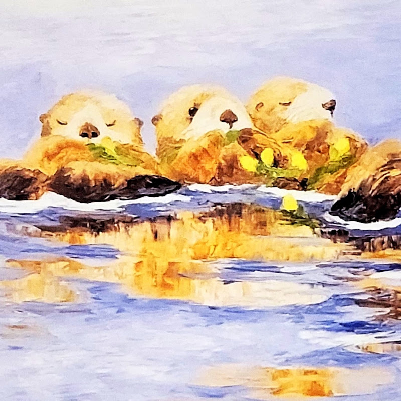 배당천국