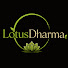 JAcGli1D6-0-channel-avatar-LotusDharma