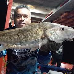 Daniel Marques Pescaria