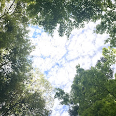 satori×ぼなーぶらん